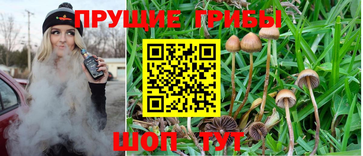 Псилоцибиновые грибы Magic Shrooms  Вход с VPN  Воткинск 